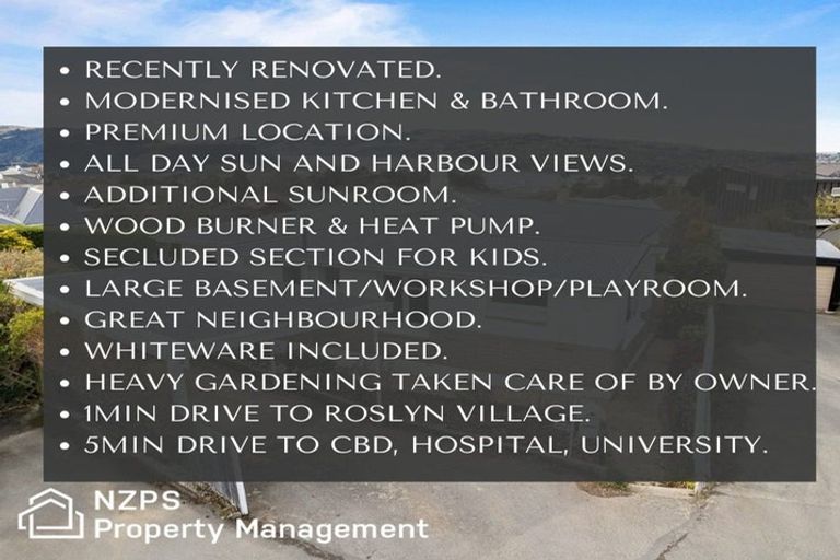 Photo of property in 146a Highgate, Roslyn, Dunedin, 9010