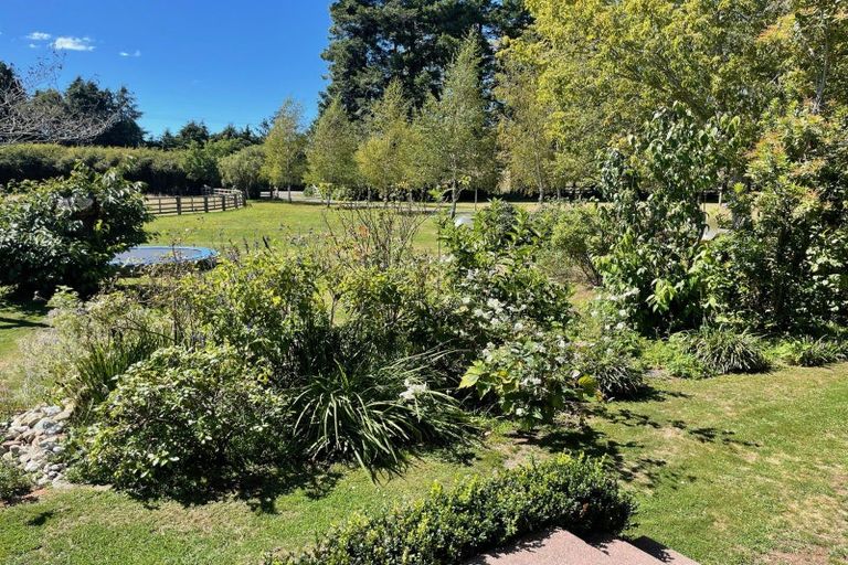 Photo of property in 414 Rakaiatai Road, Ormondville, Dannevirke, 4977