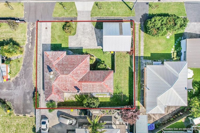 Photo of property in 36 Hobson Street, Maeroa, Hamilton, 3200