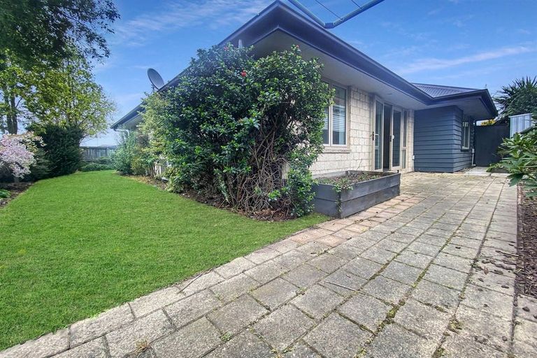 Photo of property in 161 Hastings Street East, Waltham, Christchurch, 8023
