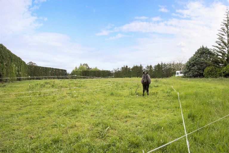 Photo of property in 50 Tetley Road, Tahawai, Katikati, 3178