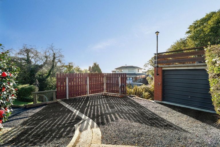 Photo of property in 163 Sidey Street, Calton Hill, Dunedin, 9012