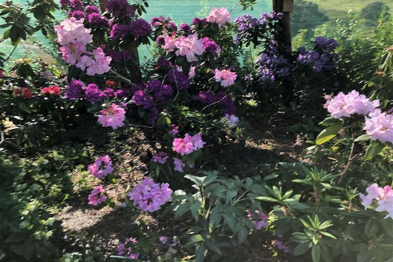 Photo of property in 73 Kahu Way, Hawkesbury, Blenheim, 7272