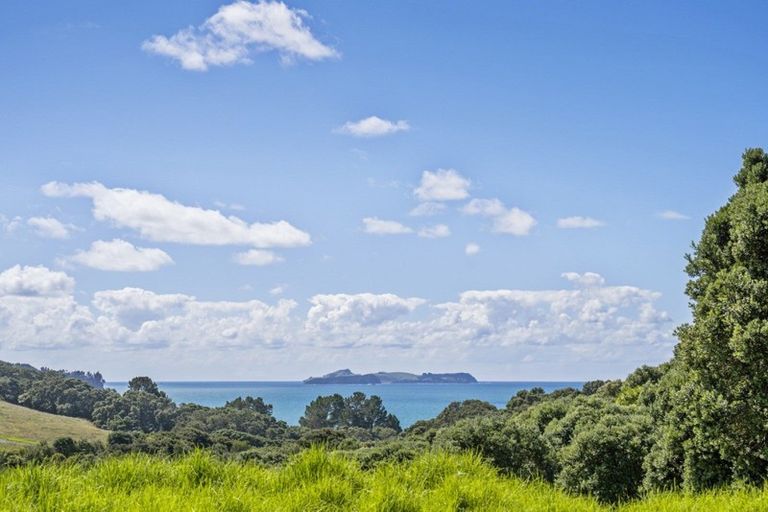 Photo of property in 339 Onemana Drive, Onemana, Whangamata, 3691