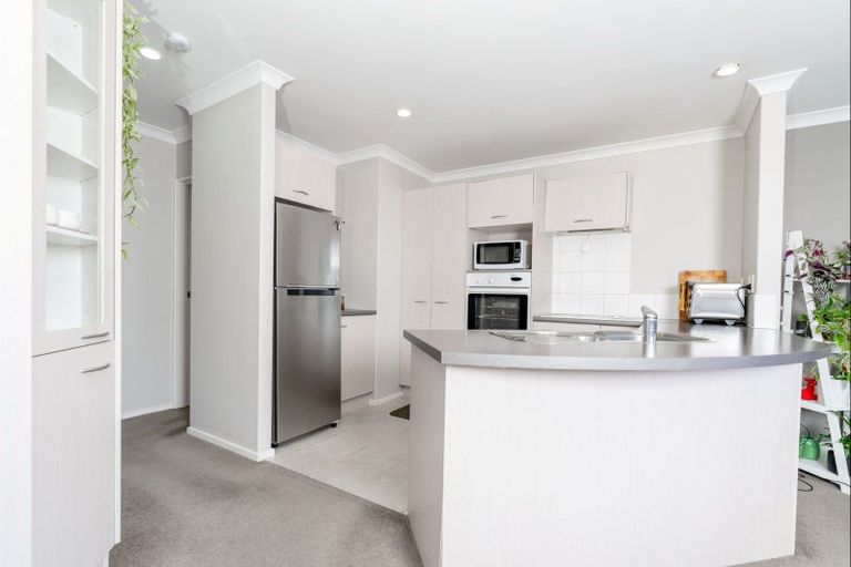 Photo of property in 438d Tristram Street, Whitiora, Hamilton, 3200