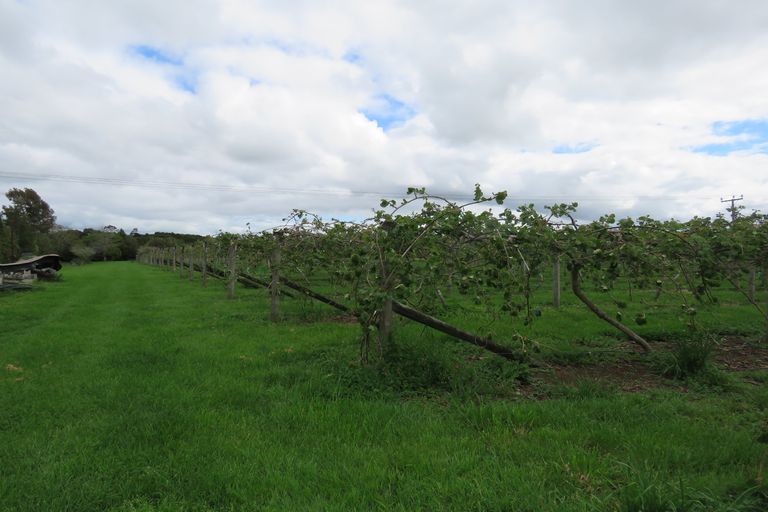 Photo of property in 7181 State Highway 1, Kaitaia, 0481