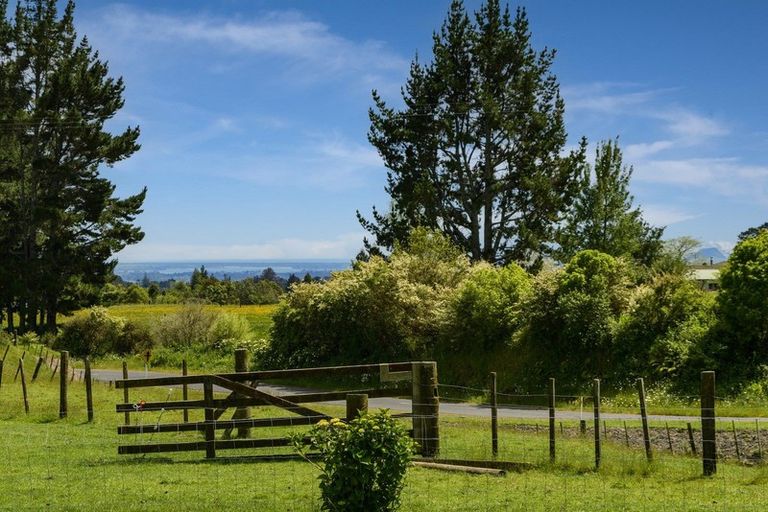 Photo of property in 320 Glue Pot Road, Oropi, Tauranga, 3173