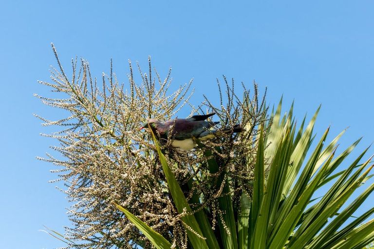 Photo of property in 3 Spylaw Street, Maori Hill, Dunedin, 9010