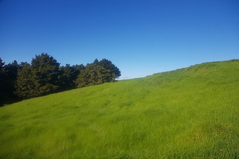 Photo of property in 725 Golden Stairs Road, Mareretu, Maungaturoto, 0589