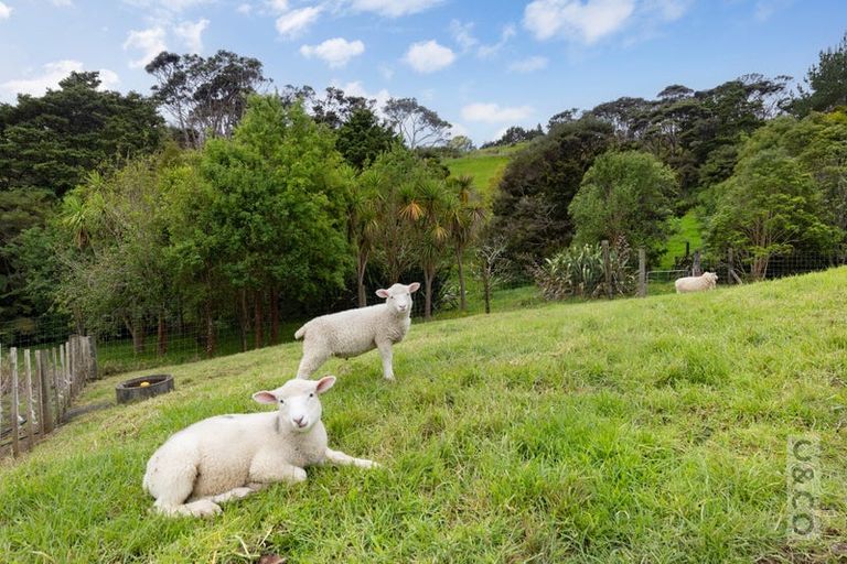 Photo of property in 25 School Road, Waimauku, 0881