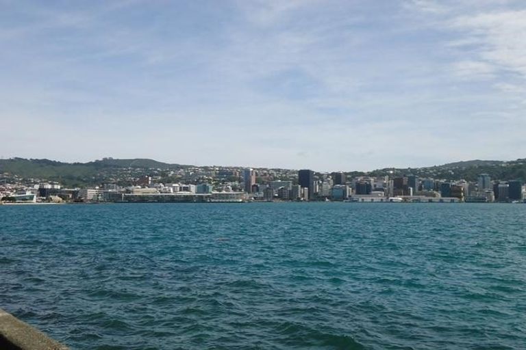 Photo of property in The Capital, 3/370 Oriental Parade, Oriental Bay, Wellington, 6011