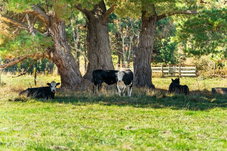 Photo of property in 417c Grays Road, Pauatahanui, Porirua, 5381