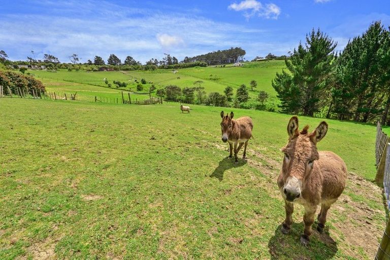 Photo of property in 1568 Old North Road, Helensville, 0875
