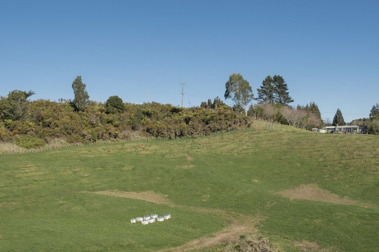 Photo of property in 882c Whakamarama Road, Whakamarama, 3179