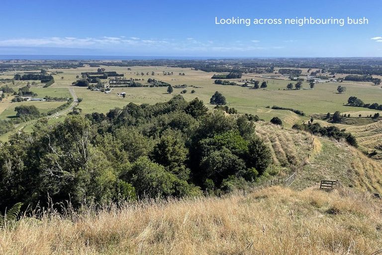 Photo of property in 61 Mickell Road, Hautere, Otaki, 5582