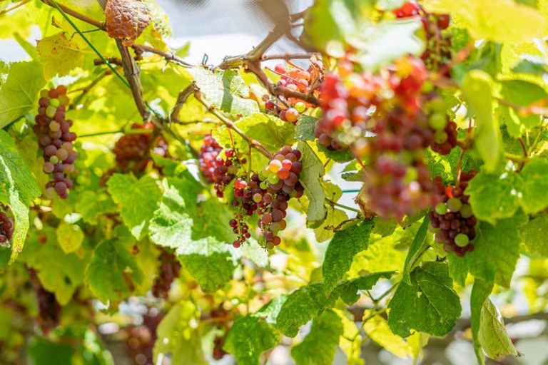 Photo of property in 28 Taupo Crescent, Plimmerton, Porirua, 5026