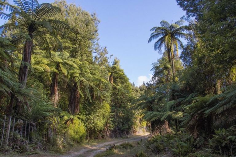 Photo of property in 1046 Work Road, Whakamarama, 3181