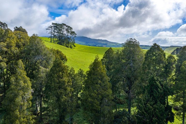 Photo of property in 554 Maungatawhiri Road, Raglan, 3295