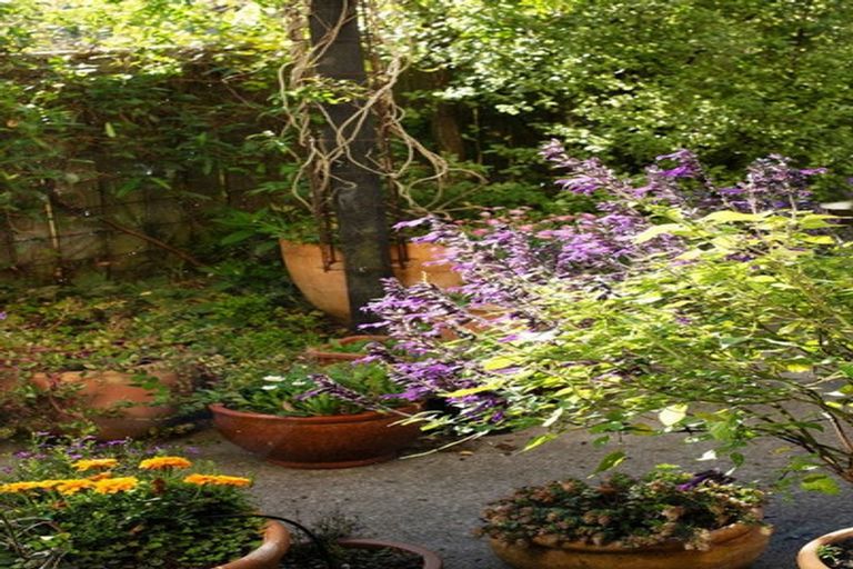 Photo of property in 46e Navigation Drive, Whitby, Porirua, 5024