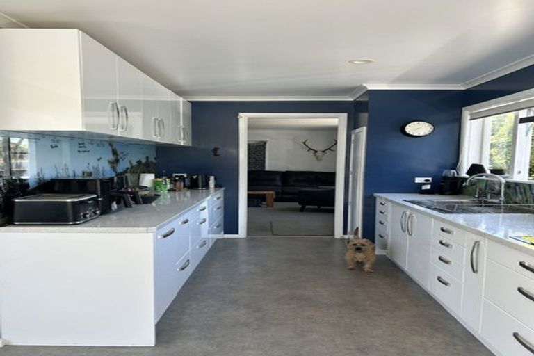 Photo of property in 59 Bedford Avenue, Gonville, Whanganui, 4501