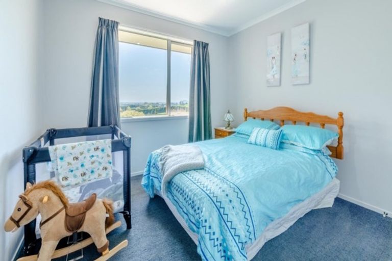 Photo of property in 233 Waipapa Block Road, Whakamarama, Tauranga, 3180