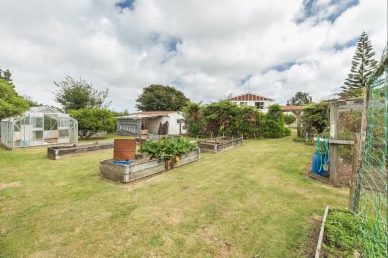 Photo of property in 234 Kawiu Road, Levin, 5510