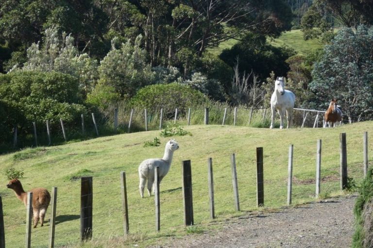 Photo of property in 338 Ngarara Road, Waikanae, 5391