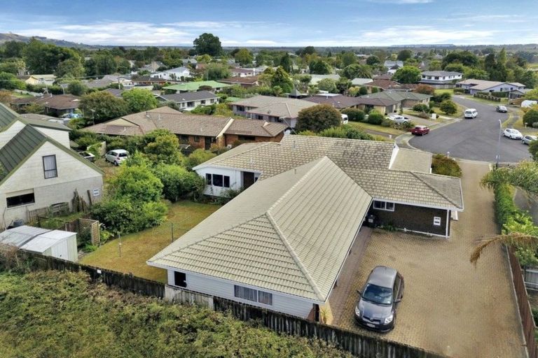 Photo of property in 16 Randell Place, Te Puke, 3119