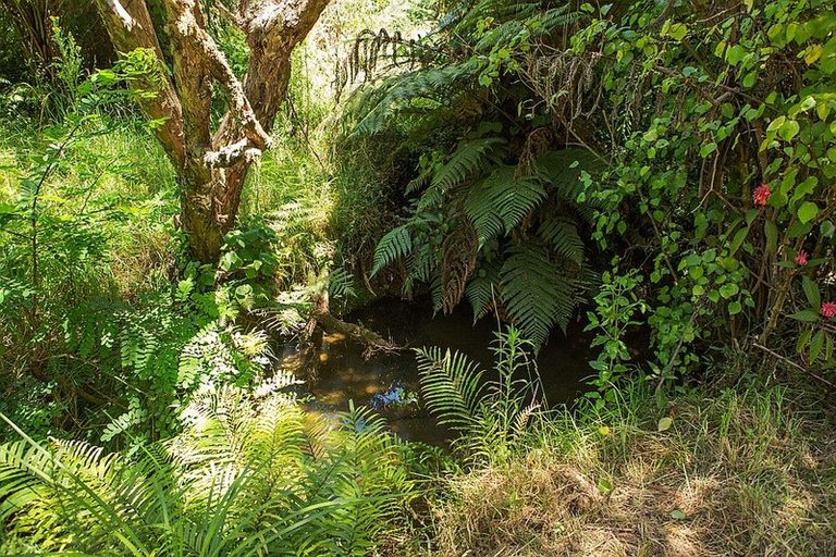 Photo of property in 659 Backriver Road, Peria, Kaitaia, 0483