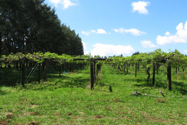 Photo of property in 2 Tanekaha Drive, Parahaki, Whangarei, 0112