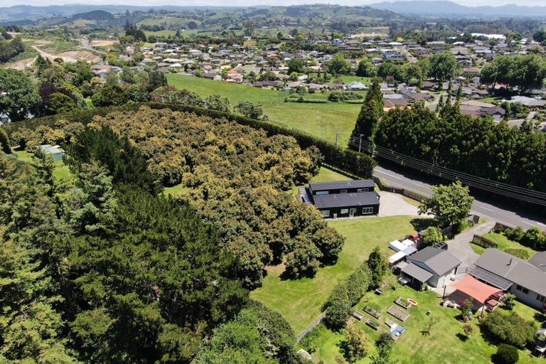 Photo of property in 284 Cambridge Road, Bethlehem, Tauranga, 3110