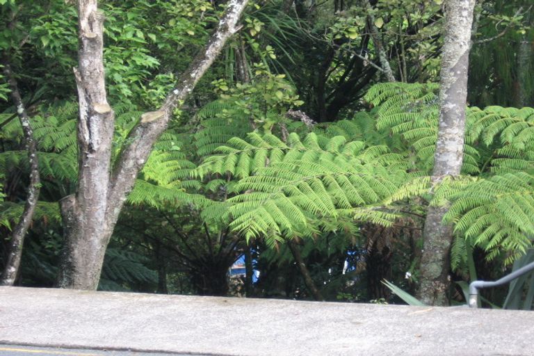 Photo of property in 335 Titirangi Road, Titirangi, Auckland, 0604