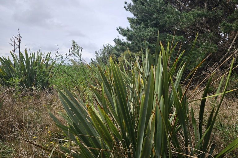 Photo of property in 16 Waka Tete Place, Waitarere, Levin, 5510