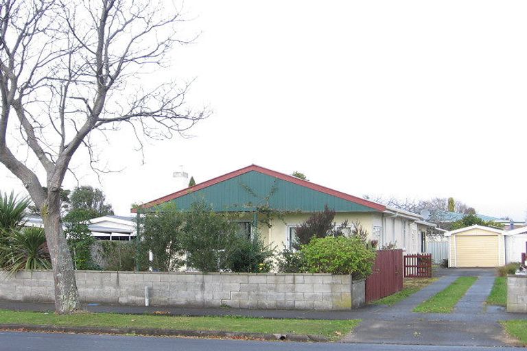 Photo of property in 442a Ruahine Street, Terrace End, Palmerston North, 4410