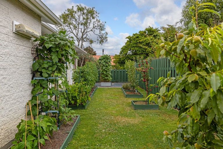 Photo of property in 4 Chamberlain Road, Masterton, 5810