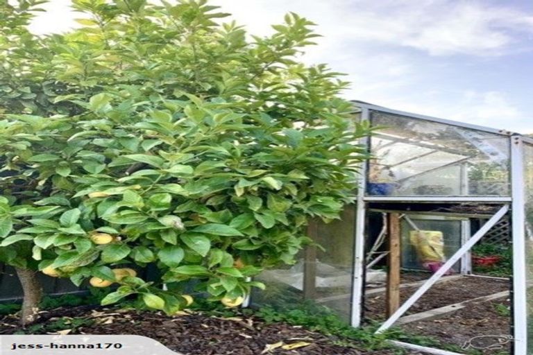 Photo of property in 6 Old Main North Road, Leithfield, Amberley, 7481