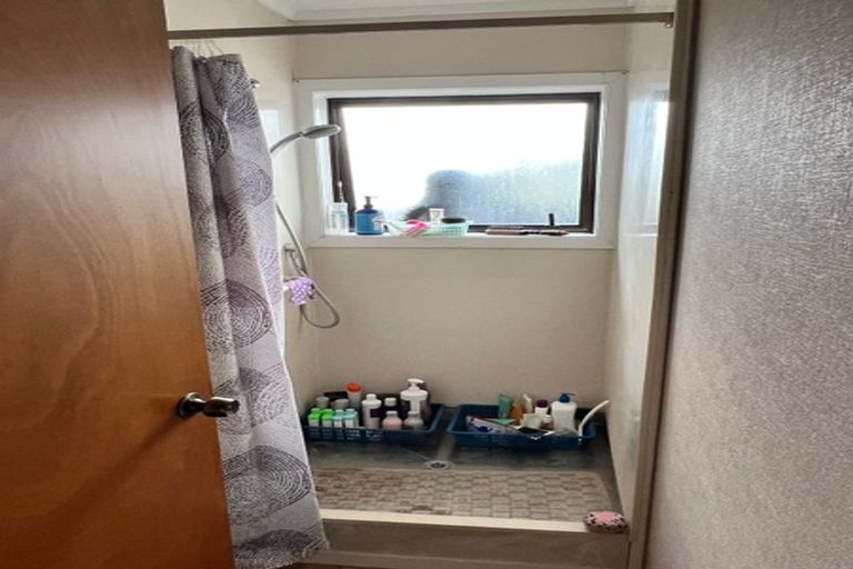 Photo of property in 52 Anglesea Street, Hamilton Central, Hamilton, 3204