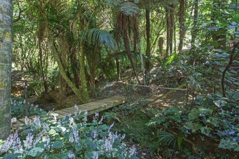 Photo of property in 6 Frank Street, Oneroa, Waiheke Island, 1081