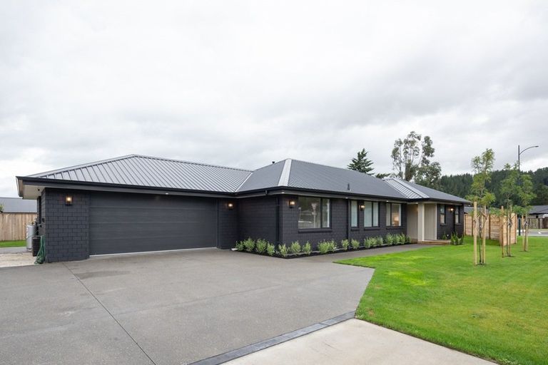 Photo of property in 125 Turnbull Drive, Witherlea, Blenheim, 7201