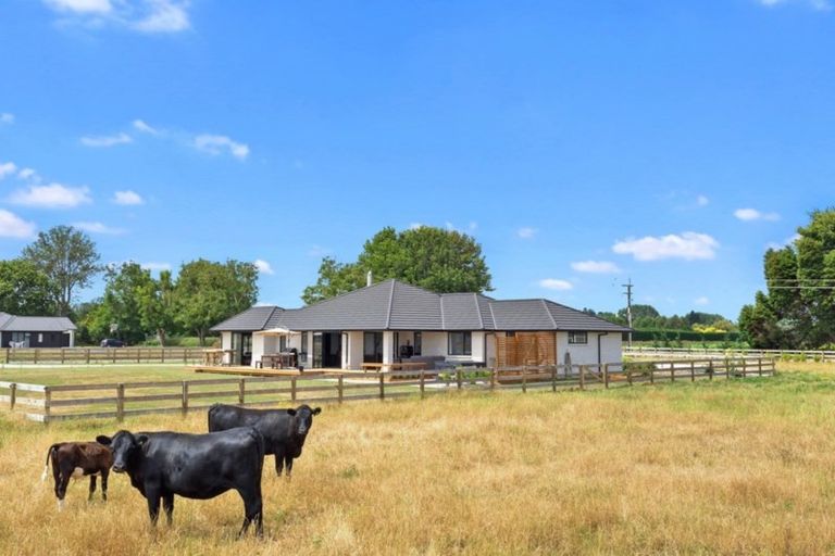 Photo of property in 223a Matangi Road, Matangi, Hamilton, 3284