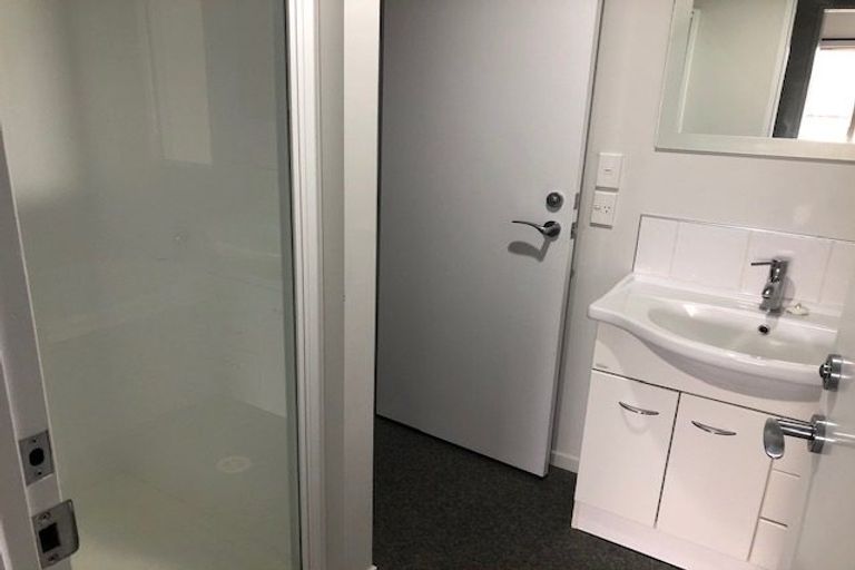 Photo of property in 50a Willoughby Street, Whitiora, Hamilton, 3200