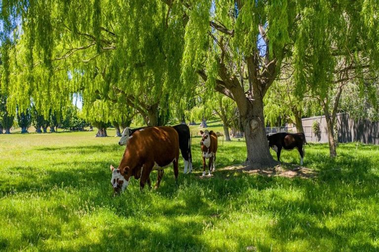 Photo of property in 52 Crawford Hills Road, Galloway, Alexandra, 9393