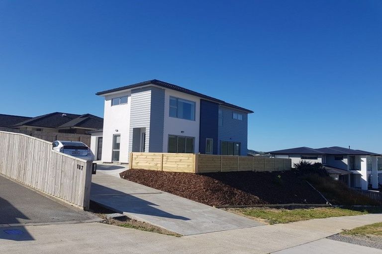 Photo of property in 105 John Burke Drive, Aotea, Porirua, 5024