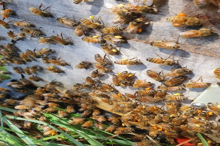 Photo of property in 58 Moroa Road, Tauwharenikau, Featherston, 5771