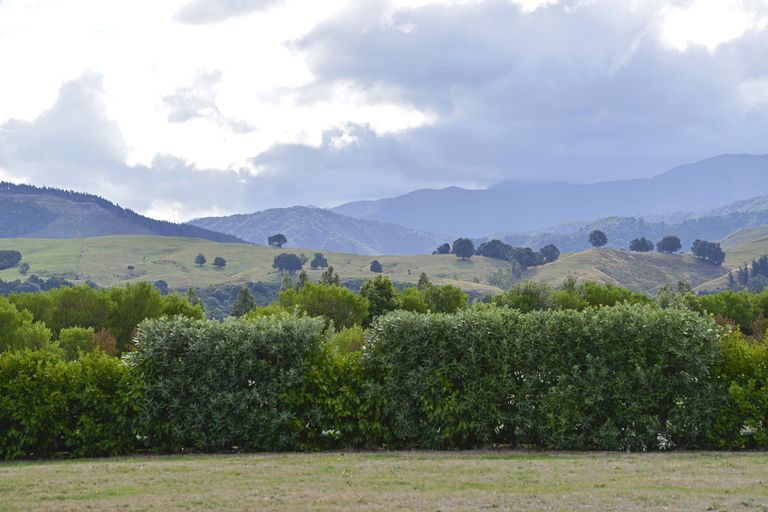 Photo of property in 48 Jordan Road, Waingawa, Carterton, 5791