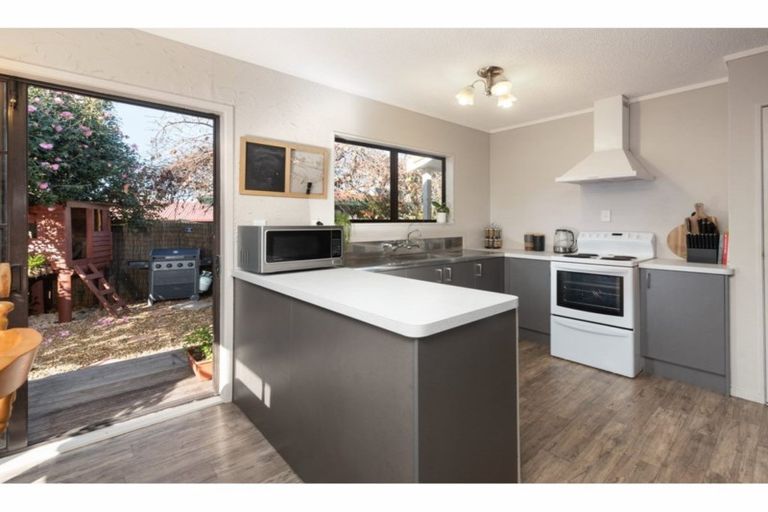 Photo of property in 14 College Place, Poike, Tauranga, 3112