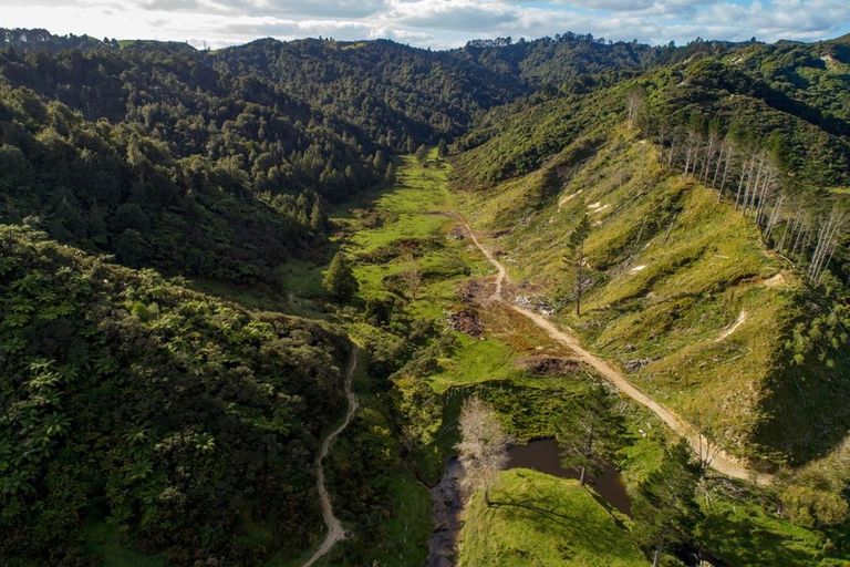 Photo of property in 1177 Mokau Road, Mimi, Urenui, 4379