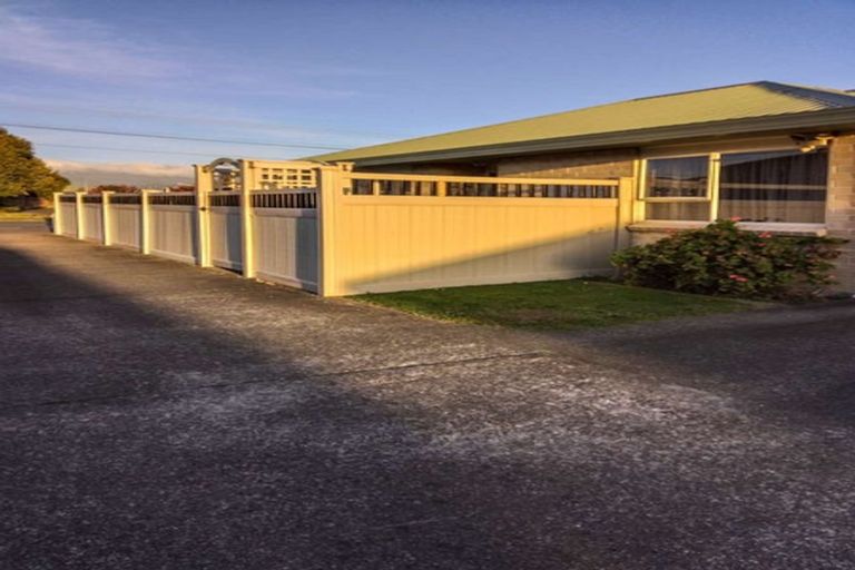 Photo of property in 61 Winchester Street, Levin, 5510