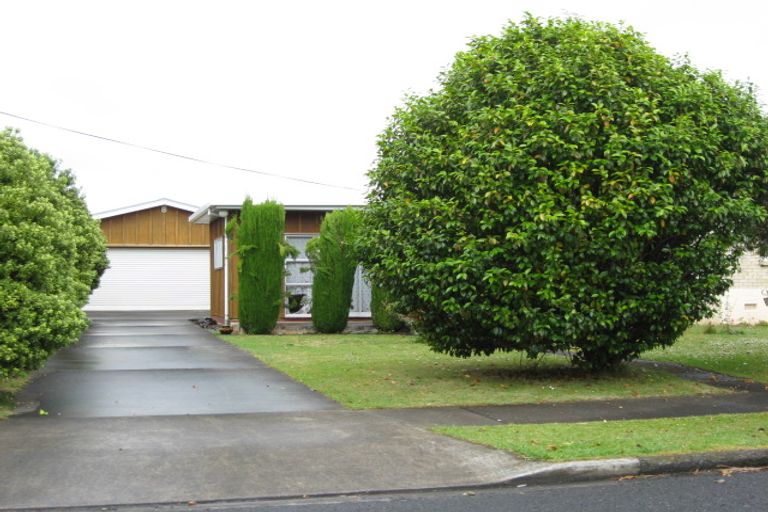 Photo of property in 48 Princes Street, Pukekohe, 2120