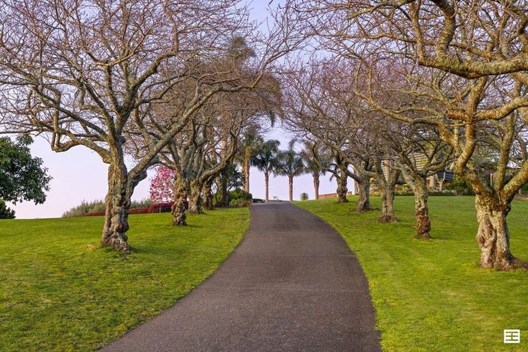 Photo of property in 88 Boscabel Drive, Ohauiti, Tauranga, 3112